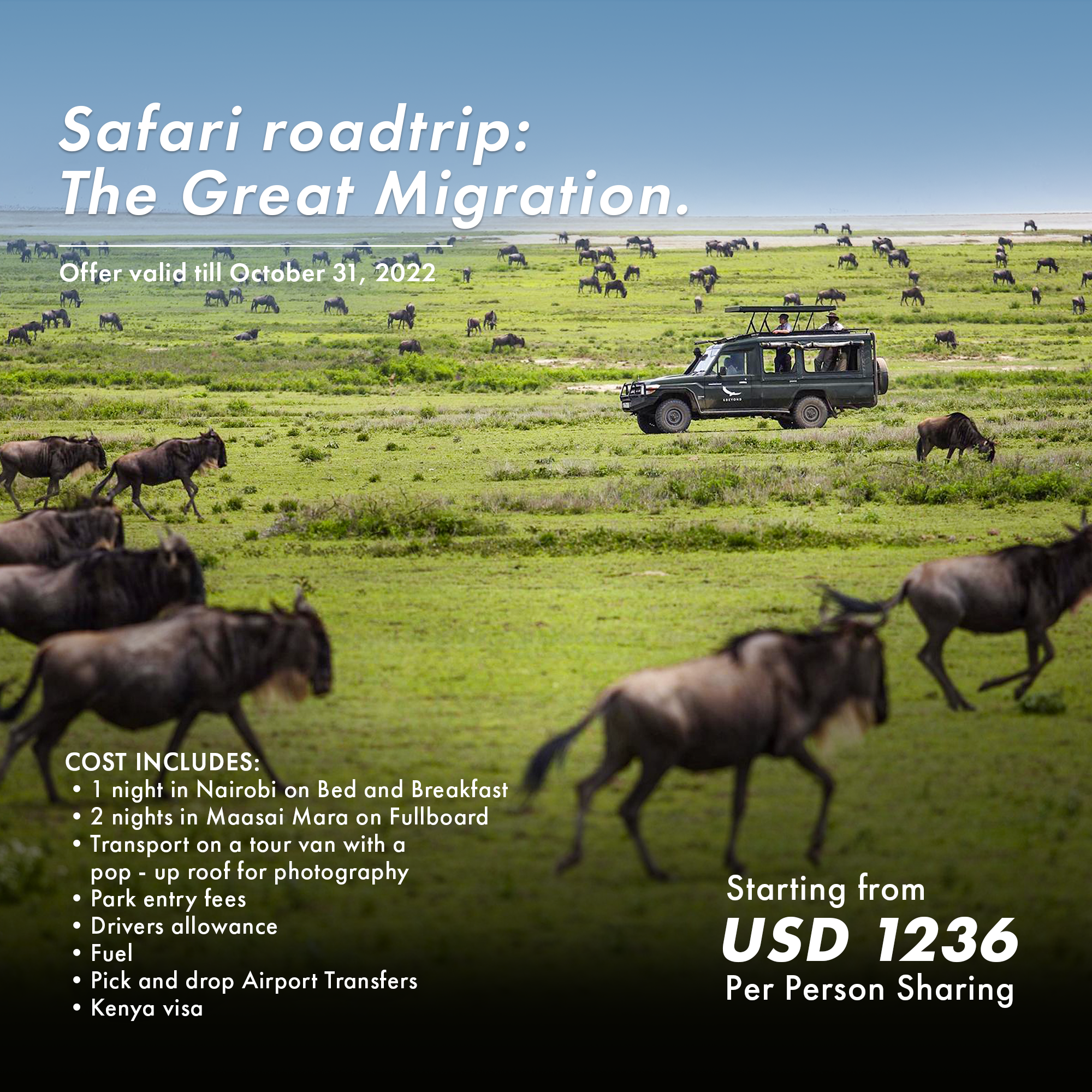 Safari roadtrip- The Great Migration BSK web